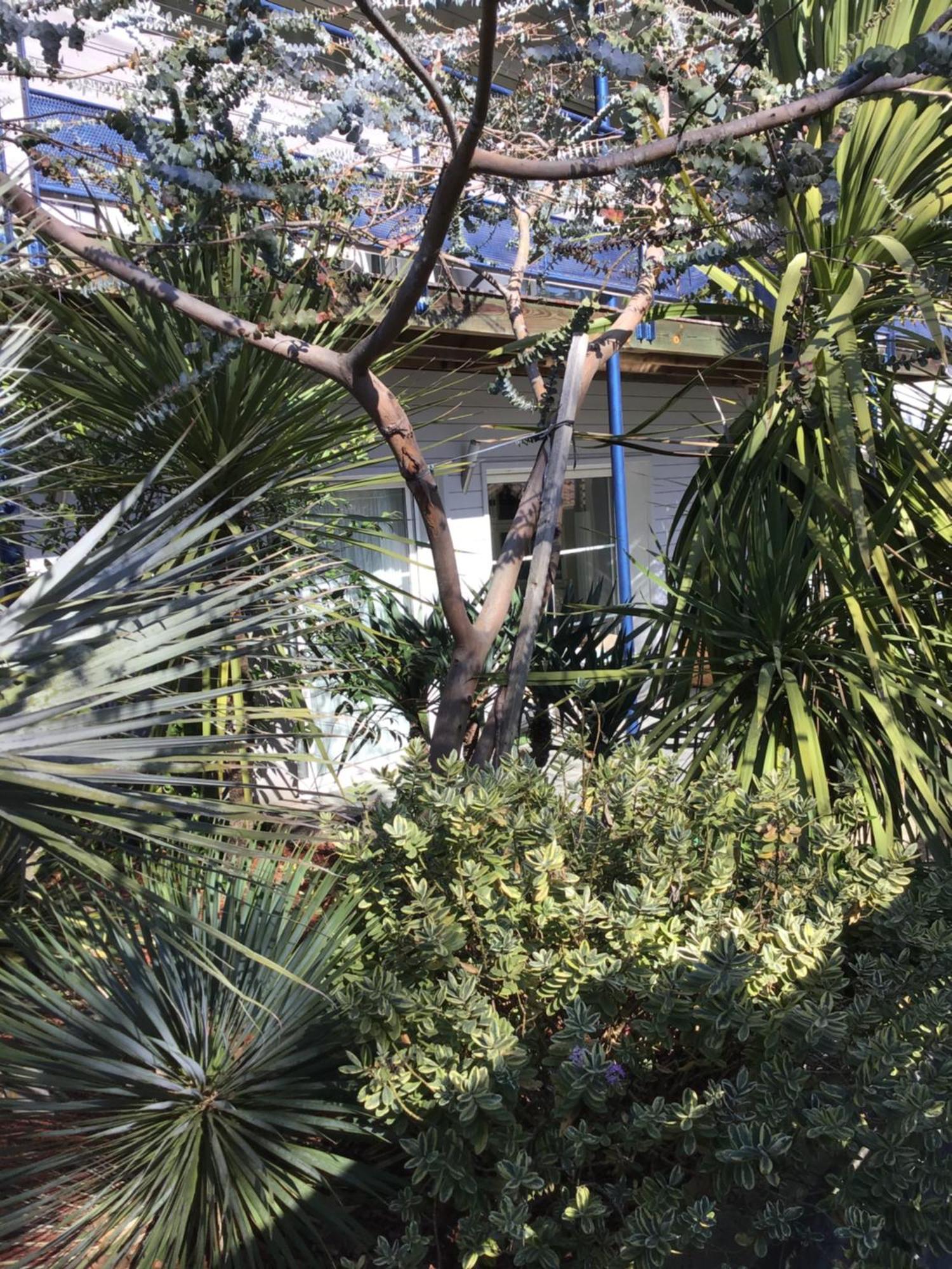 Apartment Agreable A 1km Du Centre De *